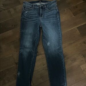 Judy blue Stylish Blue Women's Jeans